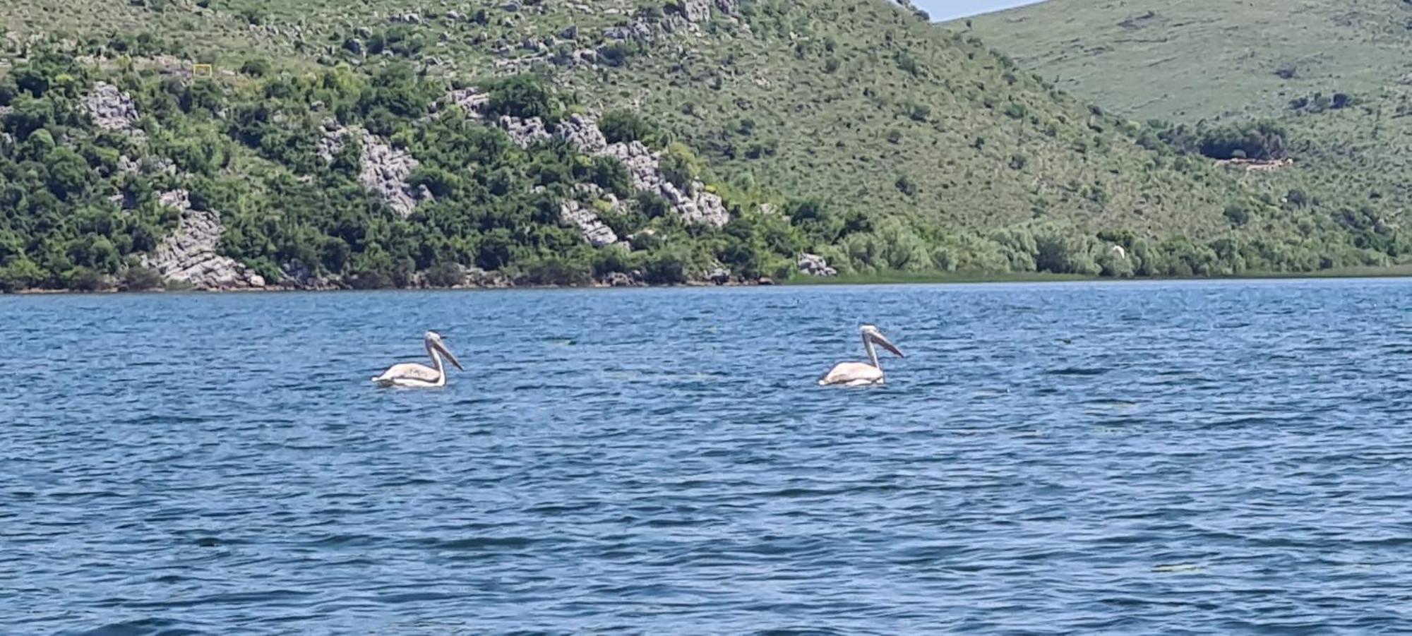 Holiday Home Haustor With Skadar Lake View Podgorica Exterior photo